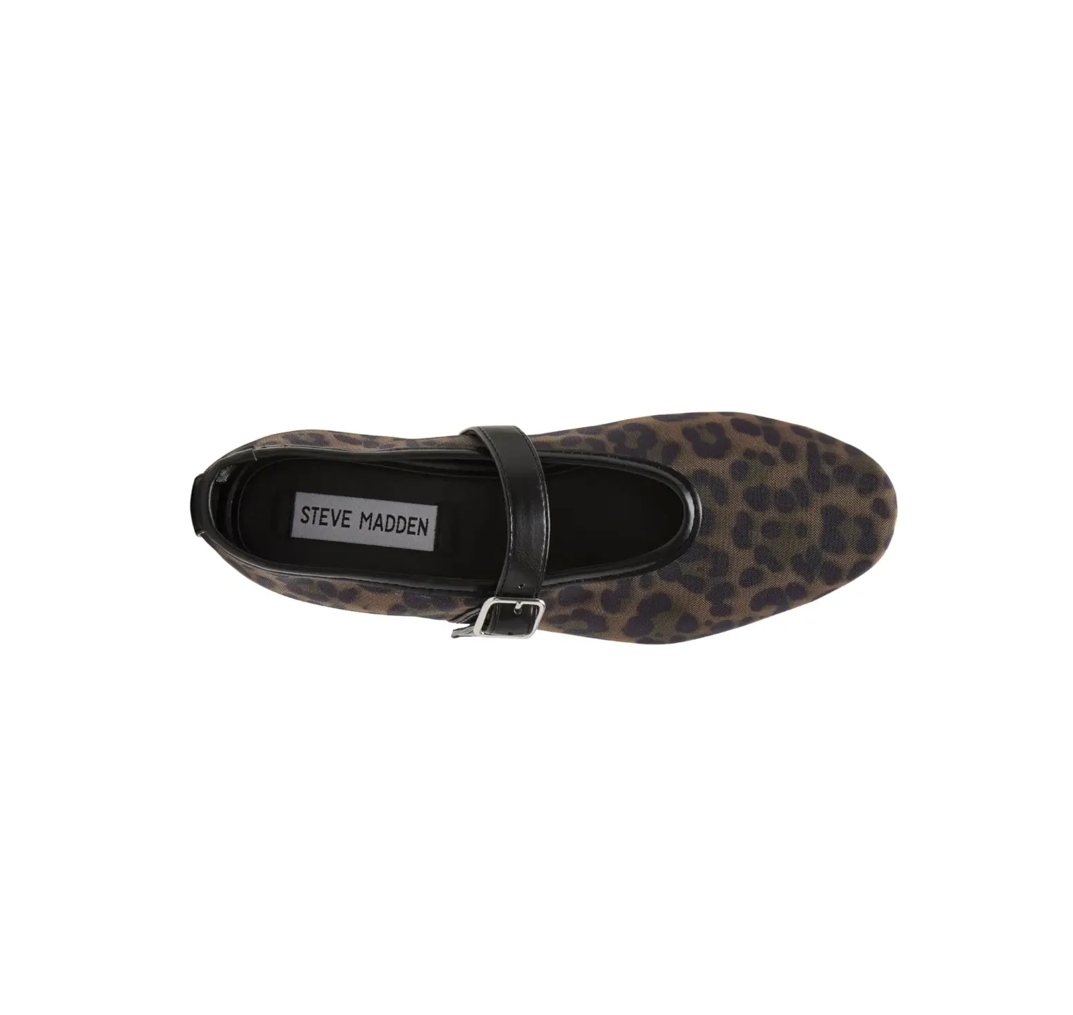 Dreaming in Leopard Mesh